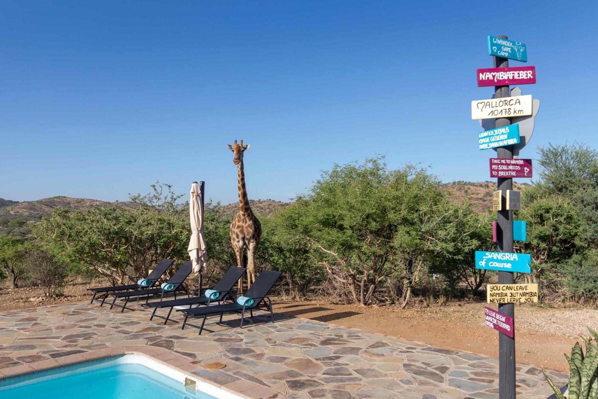 Windhoek Game Camp Lafrenz Township 外观 照片