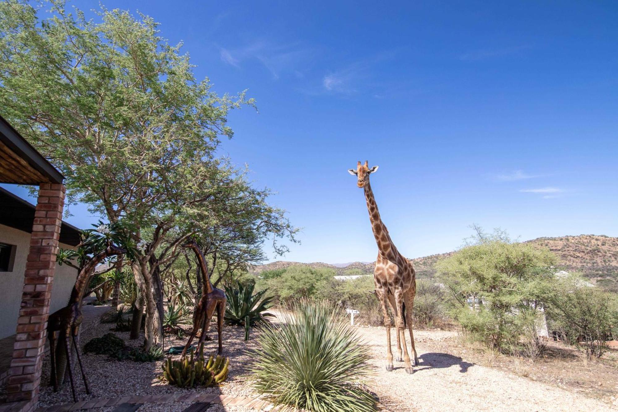 Windhoek Game Camp Lafrenz Township 外观 照片