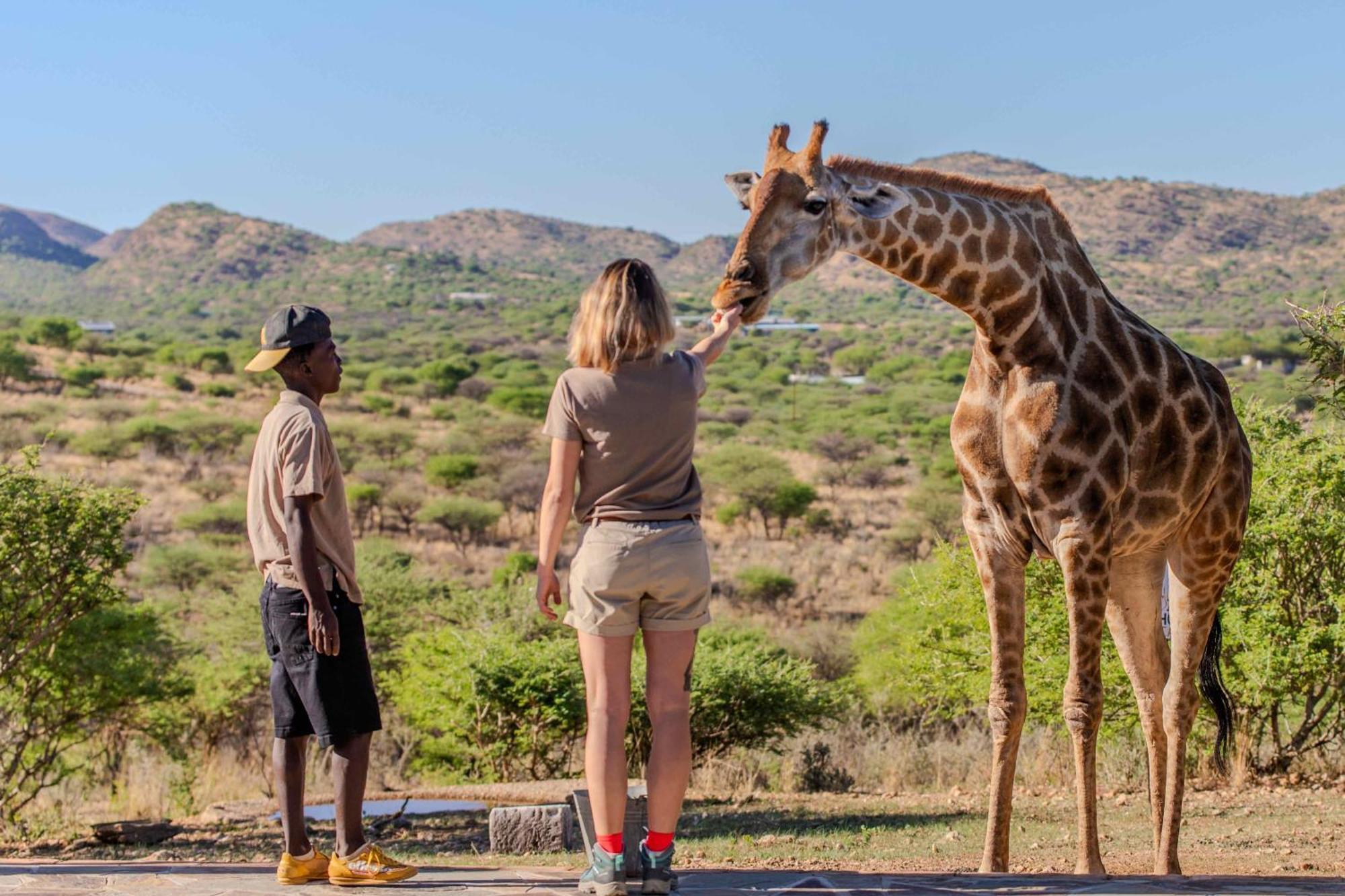 Windhoek Game Camp Lafrenz Township 外观 照片
