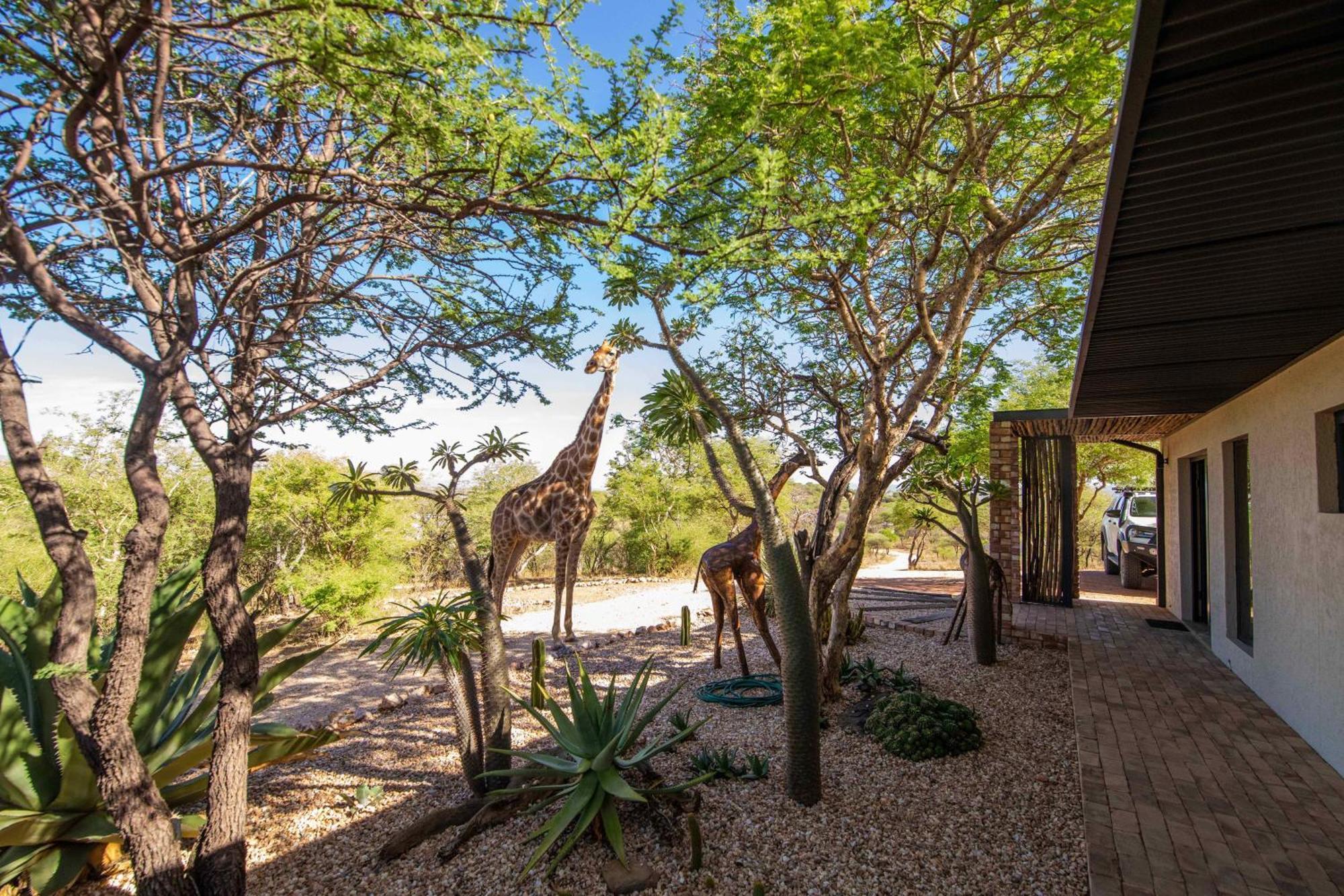 Windhoek Game Camp Lafrenz Township 外观 照片