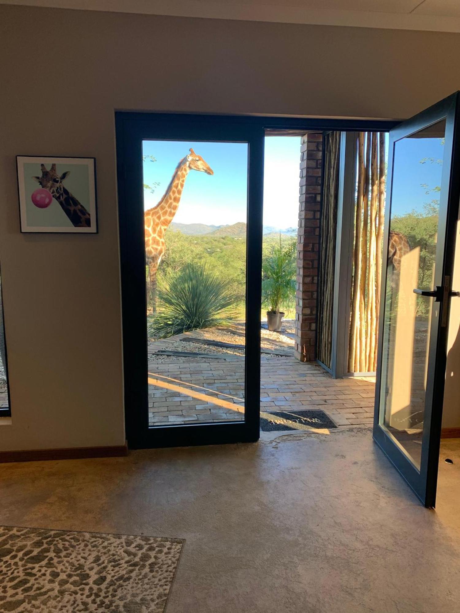 Windhoek Game Camp Lafrenz Township 外观 照片