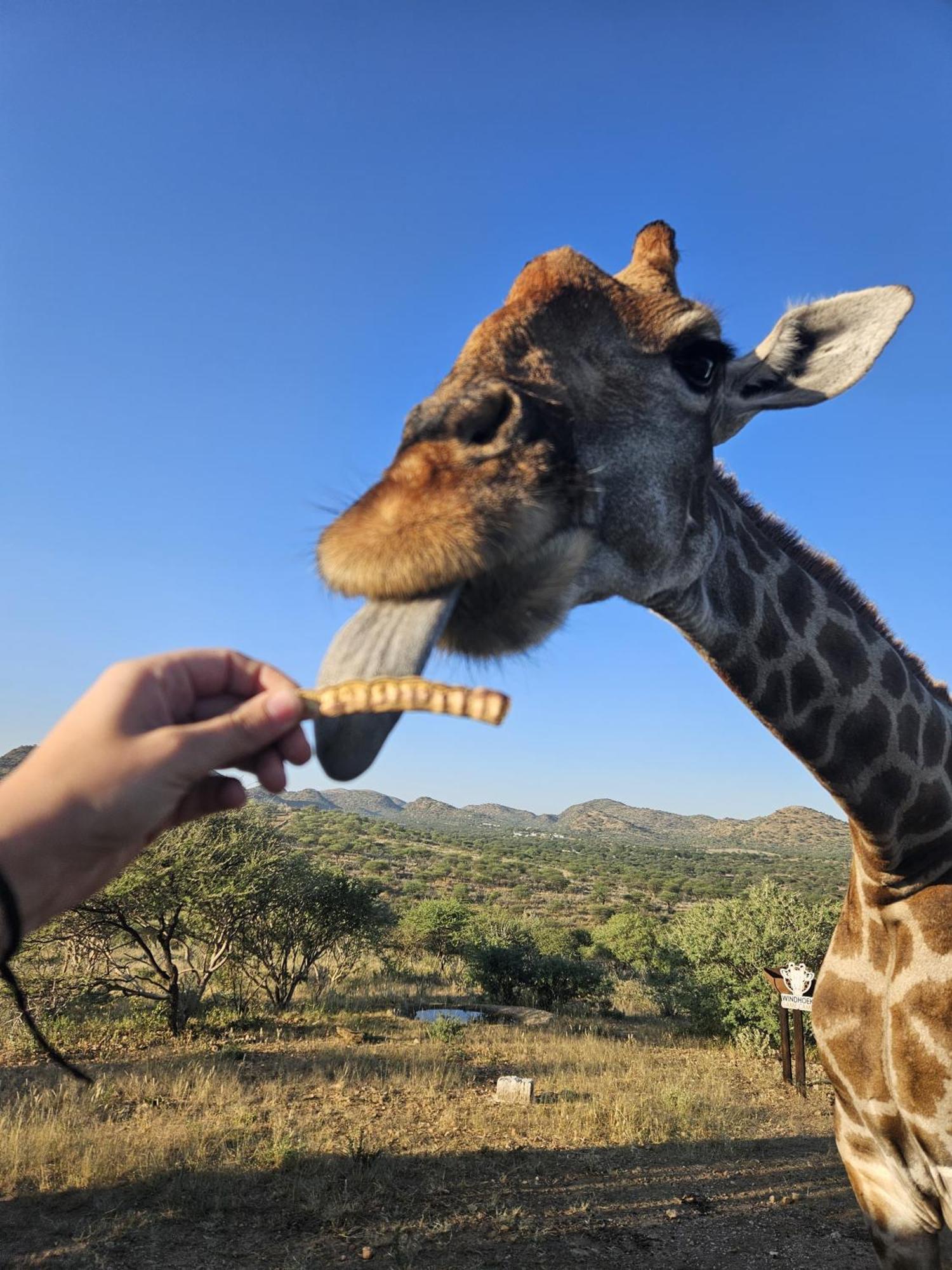 Windhoek Game Camp Lafrenz Township 外观 照片